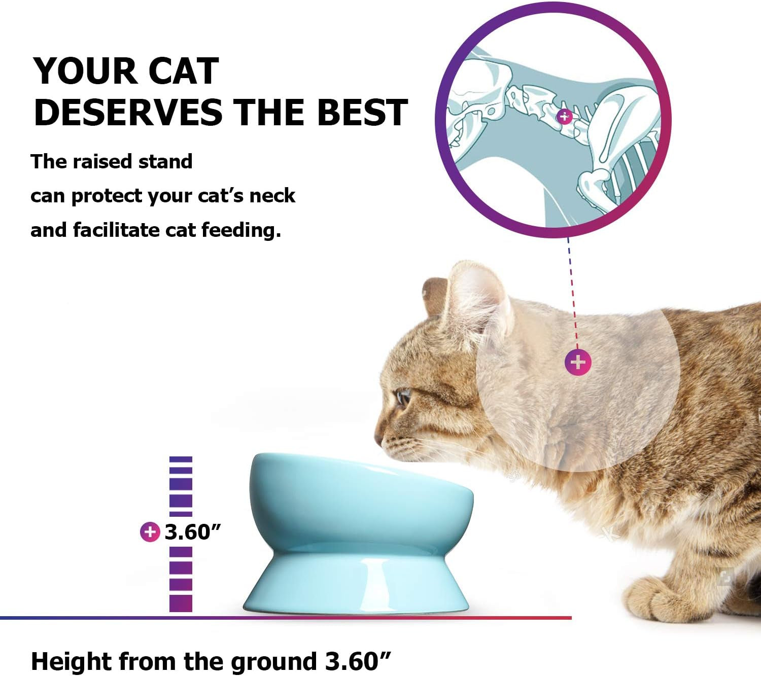 Elevated Cat Food Bowl, Raised Pet Food and Water Bowl, Cat and Small Dog Bowl, Tilted Ceramic Cat Water Bowl No Spill,15Oz, Dishwasher Safe